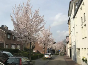 Vaals Aachen Suite Apartment