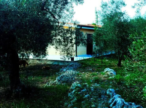 Villa Olivia