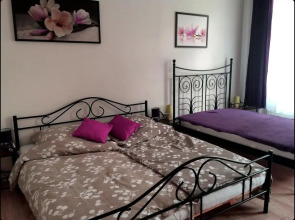 Apartment Krále Jiřího