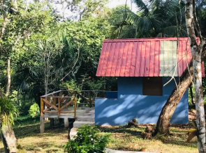 Mango Walk Inn