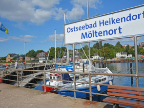 Strandhafer