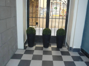 Apuntadores 8