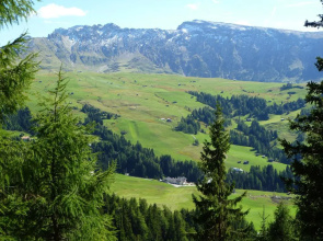 Hotel Seelaus