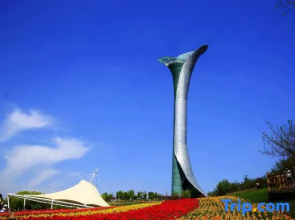 Haiyue Cinema City Jing Apartment (Youth Avenue Color TV Tower Night Market Branch)