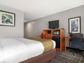 Quality Inn & Suites Birmingham