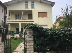 I tulipani flat