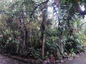 Hotel los Yutzos