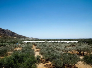 Ierapetra Garden House
