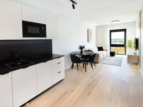 15. korruse värskelt valminud katusekorter