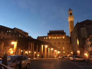 Salicotto 56
