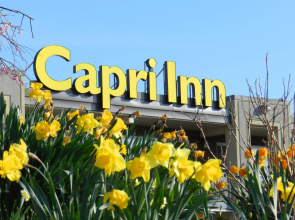 Capri Inn