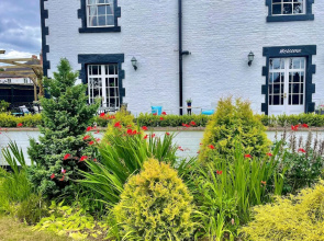 Eagle House- Award Winning B&B and Apartment