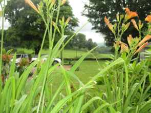 Brambles Bed and Breakfast