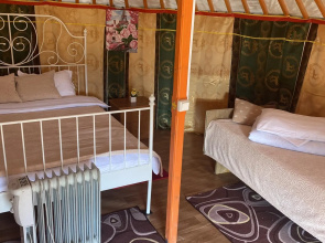 Yurt camping