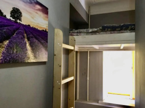 SPBINN Marko (СПБИНН Марко)