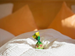 Apart Hotel Garni Alvetern