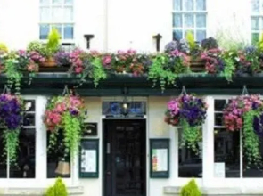 Black Swan Hotel