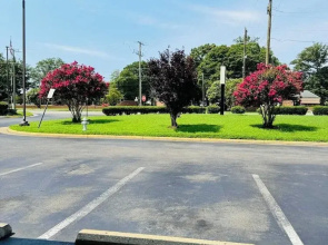 Executive Inn