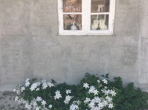 Farm 61 Bed & Breakfast