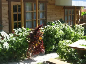 Tri Medvedya Guest House