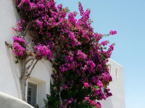 Naxos Kastraki Homey Villa With Sea View