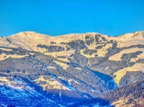 Haus Kitzsteinhorn 7 - Edelweiss by Alpen Apartments