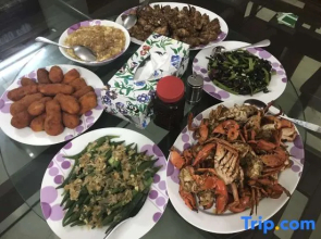 China Inn Ltd