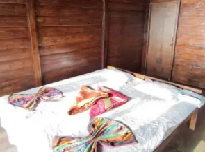 Dolphin Beach Resort