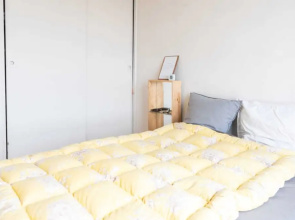 Charming Apartment Proche de Paris