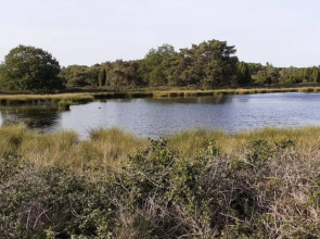 Drentse bungalow in natuur en rust