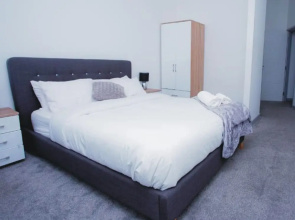 Spacious Urban City Apartment