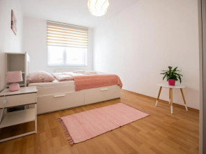 Spacious Apartment in the Old Town of Bratislava