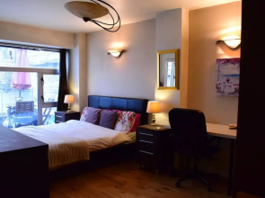 1 Bedroom Boho Home in Dublin City Centre