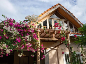 The Trang Villas