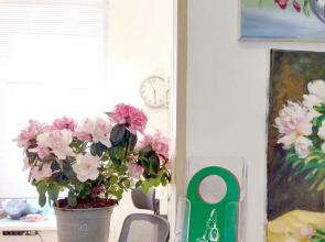 Мини-отель на Лебедева 10В 