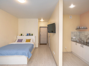 Апартаменты  TopHouse на Нейбута 6 студия