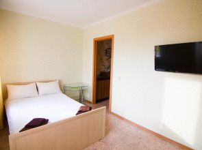 Апартаменты Золотой Шар на Революционной 3