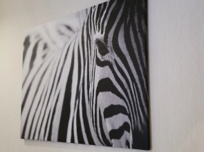 Квартира Sibkvart Крылова 63 (2)