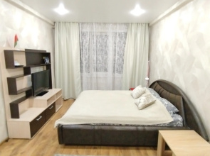 Pyshkina 33 Apartments