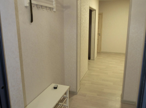 Апартаменты Династия Петра Подзолкова 3И