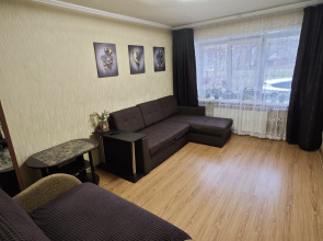 Uyutnaya Dvukhkomnatnaya Na Pervom Etazhe Flat