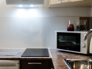 Апартаменты Оружейный Переулок 15А (1104) Без окна