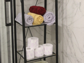 Апартаменты Александровский 1