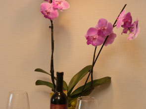 Квартира Уютная у Невы