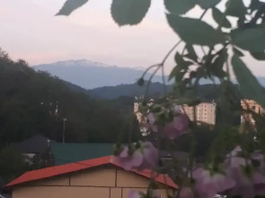 Гостевой Дом Тихий Уголок Адлера