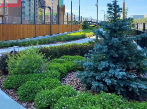 Апартаменты с Видом на Лес и Море