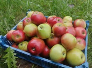 Гостевой дом Окулова Заимка