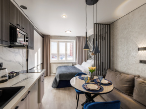 Apartamenty Meduza apart uutnye kino-studii s proektorami No3