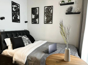 ДзенХоум Модерн 8272