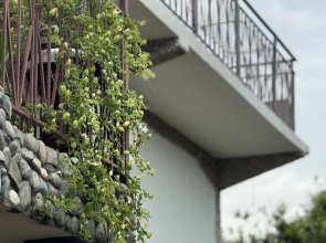Damir Mini Hotel